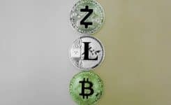 How ordinary residents can build their own park. Can authorities open a levy to build a park in cryptocurrency